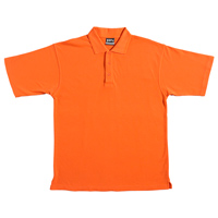 Promotional Polo Shirts </p> 210gsm Polo <p/>Quantity: 10